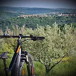 Stara šola - Oleander Korte