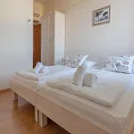 Stara šola - Oleander