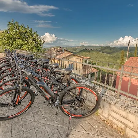 Stara Sola - Oleander Korte