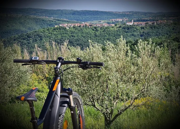 Stara Sola - Oleander Korte