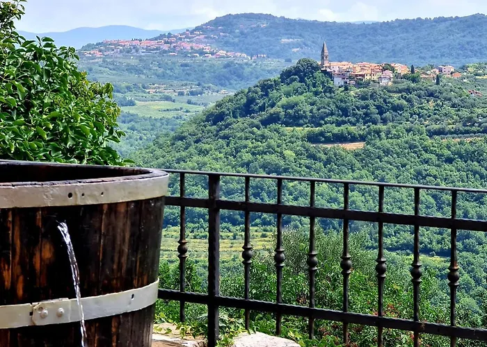 Stara Sola - Oleander Korte