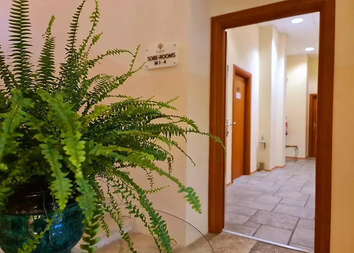 Stara Sola - Oleander Hotel