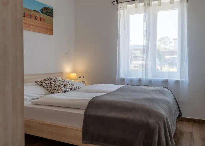 Stara Sola - Oleander Korte