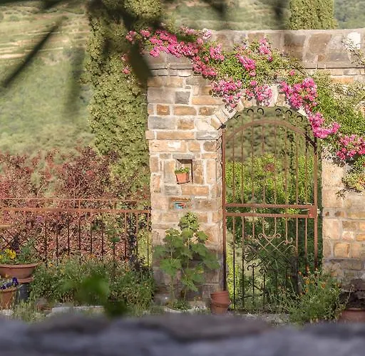 Stara Sola - Oleander